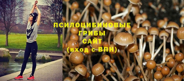 ALPHA-PVP Нефтекумск