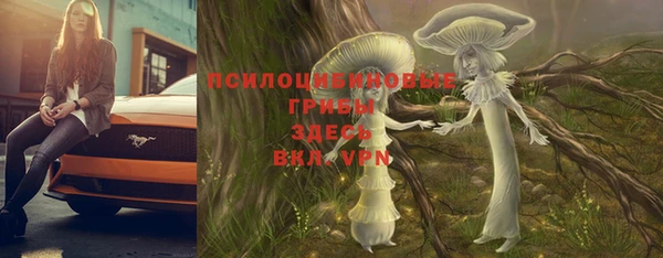 герыч Ахтубинск