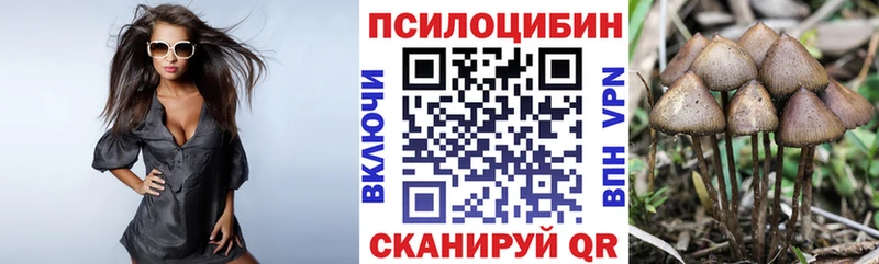 Псилоцибиновые грибы Psilocybine cubensis Чегем